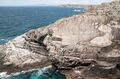 Mizen Head