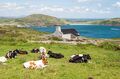 Mizen Head
